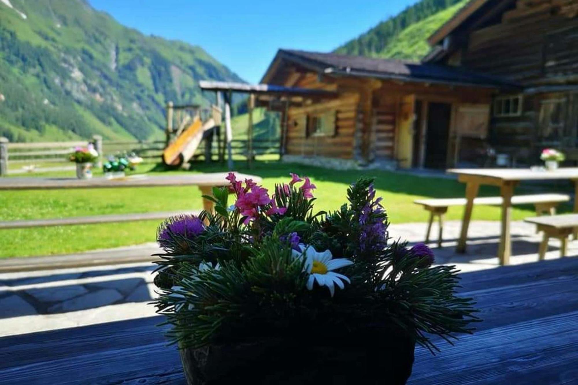 Jana 2 By Smr Rauris Apartments - Inc Spa And Near Gondola Exteriör bild